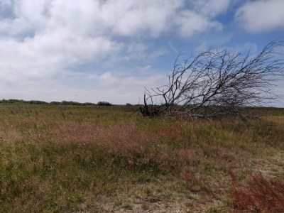 Holiday house 6 Personen Ferienhaus in Hvide Sande - Outdoor photo 31