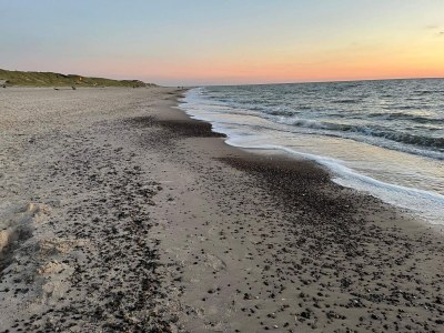 Holiday house 6 Personen Ferienhaus in Hvide Sande - Outdoor photo 34