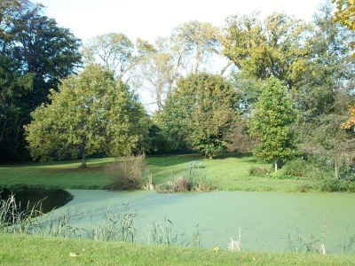 Holiday house 4 Personen Ferienhaus in Rudkøbing-By Traum - Outdoor photo 56