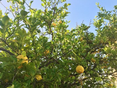 Holiday house Belvilla by OYO Menotti - Environment photo 31