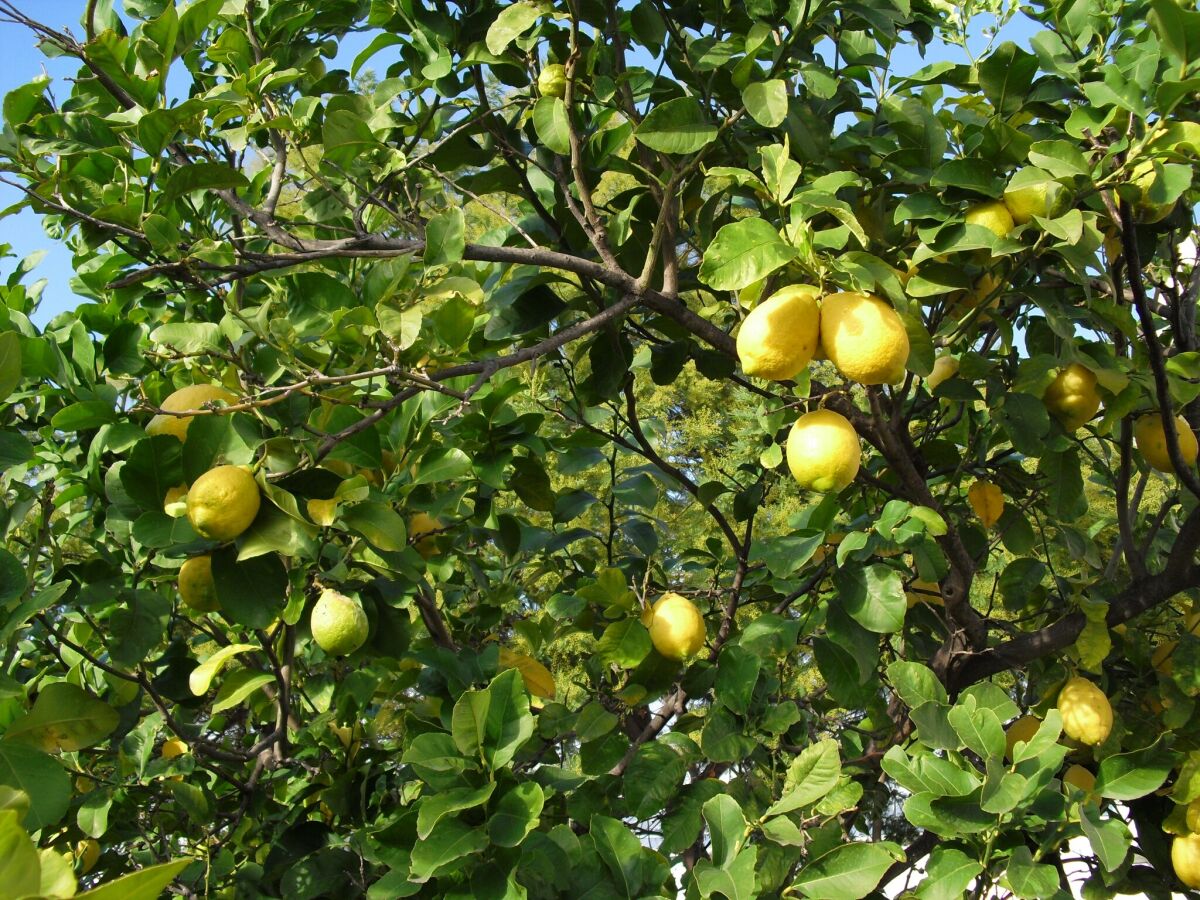 Holiday house Belvilla by OYO Pompei - Outdoor photo 2