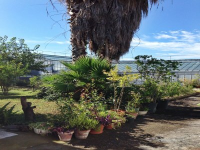 Holiday house Belvilla by OYO Pompei - Outdoor photo 9