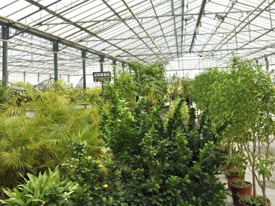 Holiday house Belvilla by OYO Pompei - Environment photo 34