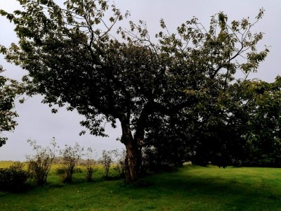 Holiday house 10 Personen Ferienhaus in Løkken - Outdoor photo 26