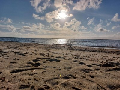 Holiday house 4 Personen Ferienhaus in Hemmet-By Traum - Outdoor photo 41