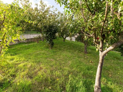 Holiday house Belvilla by OYO Casa Vacanza BeCampobasso 6 - Outdoor photo 3