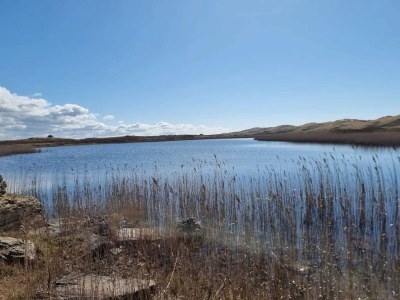 Holiday house Seaside Serenity in Nymindegab-By Traum - Outdoor photo 6