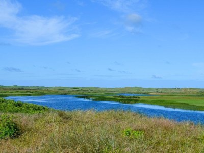 Holiday house Seaside Serenity in Nymindegab-By Traum - Outdoor photo 9