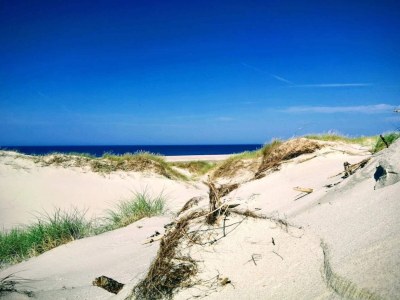 Holiday house Seaside Serenity in Nymindegab-By Traum - Outdoor photo 16