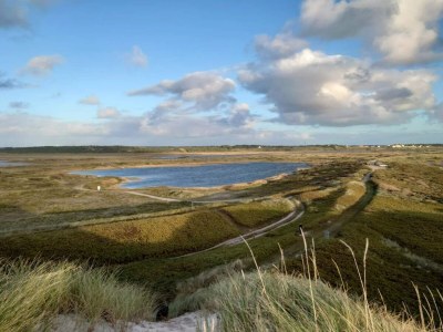 Holiday house Seaside Serenity in Nymindegab-By Traum - Outdoor photo 24