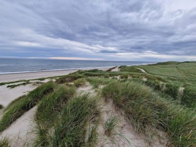 Holiday house Seaside Serenity in Nymindegab-By Traum - Outdoor photo 25