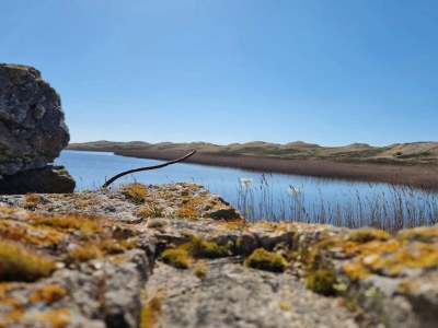 Holiday house Seaside Serenity in Nymindegab-By Traum - Outdoor photo 26
