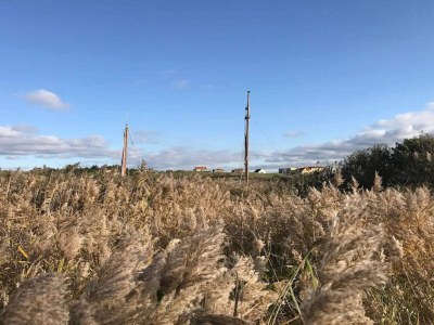 Holiday house Seaside Serenity in Nymindegab-By Traum - Outdoor photo 43