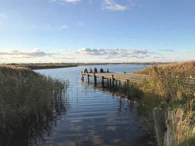 Holiday house Seaside Serenity in Nymindegab-By Traum - Outdoor photo 45