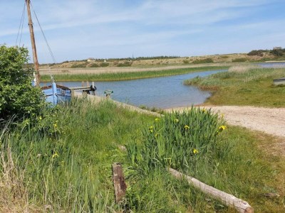 Holiday house Seaside Serenity in Nymindegab-By Traum - Outdoor photo 46