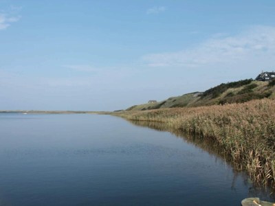 Holiday house Seaside Serenity in Nymindegab-By Traum - Outdoor photo 49