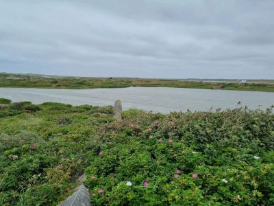 Holiday house Seaside Serenity in Nymindegab-By Traum - Outdoor photo 50