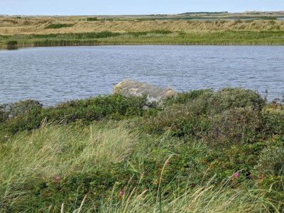 Holiday house Seaside Serenity in Nymindegab-By Traum - Outdoor photo 51