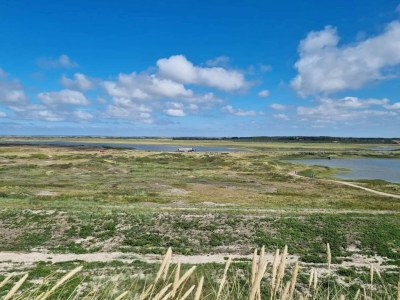Holiday house Seaside Serenity in Nymindegab-By Traum - Outdoor photo 53