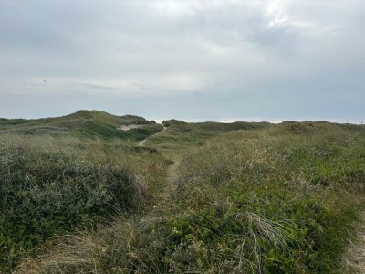 Holiday house 6 person holiday home in Hvide Sande-By Traum - Outdoor photo 34