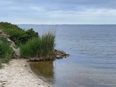 Holiday house 6 person holiday home in Hvide Sande-By Traum - Outdoor photo 35