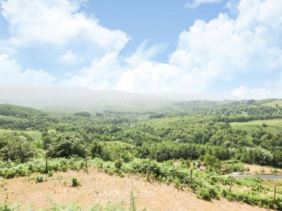 Villa Belvilla by OYO Villa in Torre di Ruggiero - Outdoor photo 8