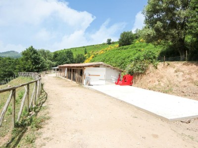 Villa Belvilla by OYO Villa in Torre di Ruggiero - Environment photo 24