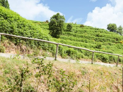 Villa Belvilla by OYO Villa in Torre di Ruggiero - Environment photo 27