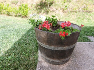 Villa Belvilla by OYO Villa in Torre di Ruggiero - Outdoor photo 34