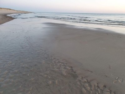 Holiday house 8 person holiday home in Hvide Sande - Outdoor photo 40