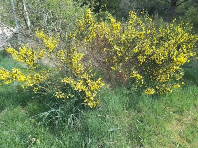 Holiday house 6 person holiday home in Henne - Outdoor photo 8