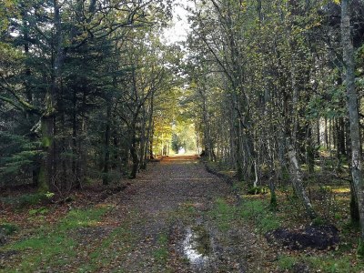 Holiday house 6 person holiday home in Henne - Outdoor photo 9