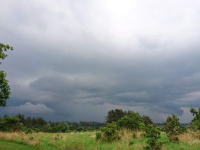 Holiday house 6 person holiday home in Henne - Outdoor photo 30