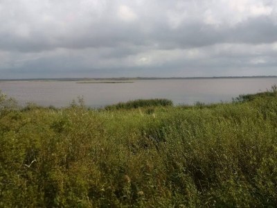 Holiday house 6 person holiday home in Henne - Outdoor photo 32