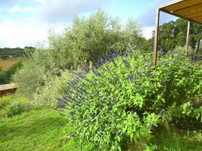 Holiday house Ferienhaus mit Pool - Outdoor photo 4