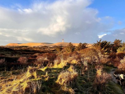 Holiday house 8 person holiday home in Løkken-By Traum - Outdoor photo 7