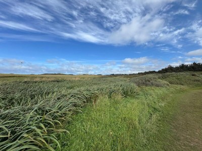 Holiday house 8 person holiday home in Løkken-By Traum - Outdoor photo 41