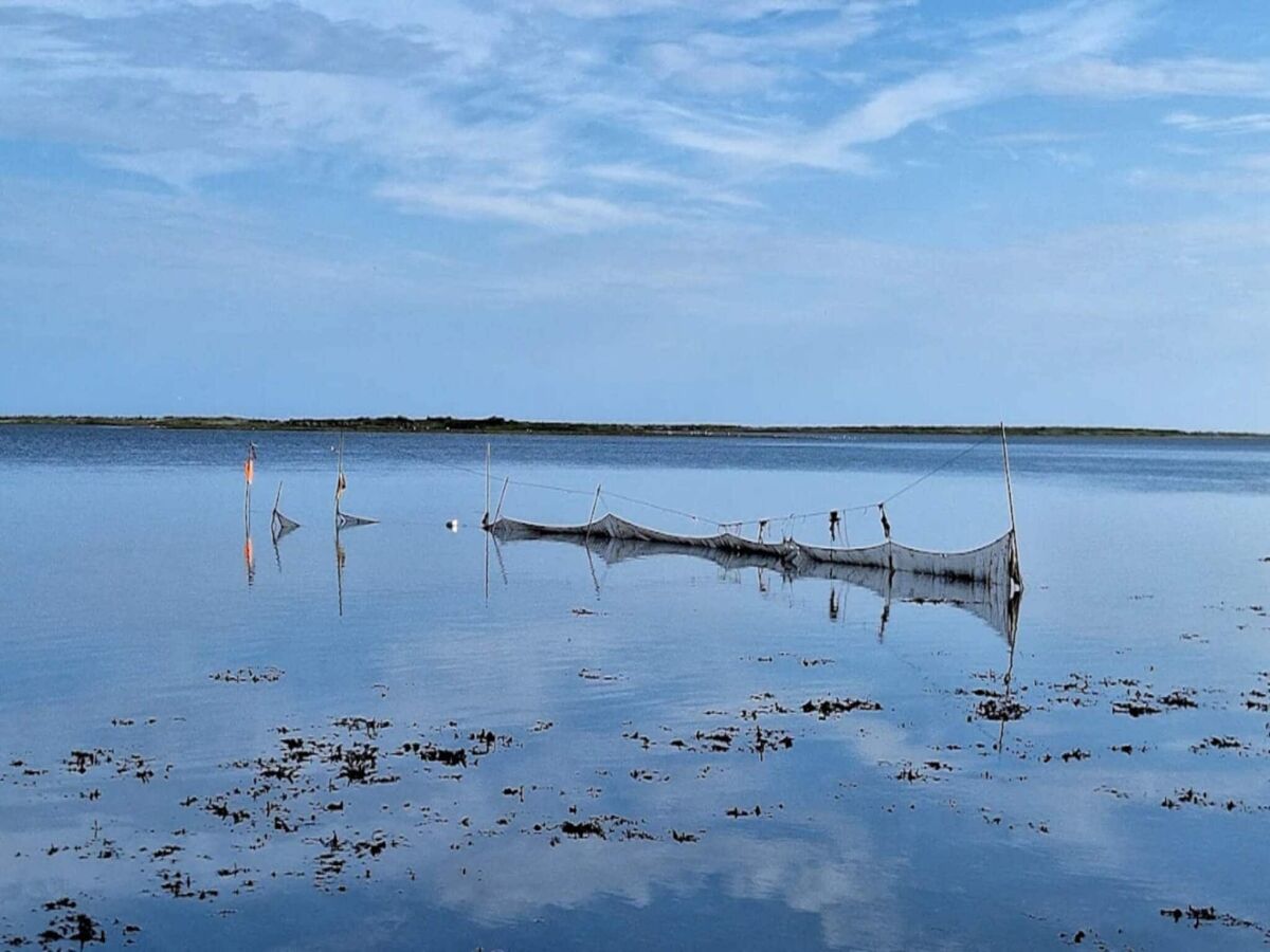 Holiday park 5 person holiday park in Bogense - Outdoor photo 4