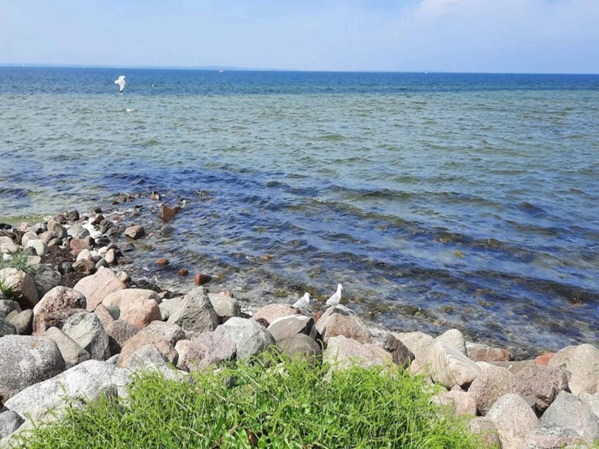 Holiday park 5 person holiday park in Bogense - Outdoor photo 5