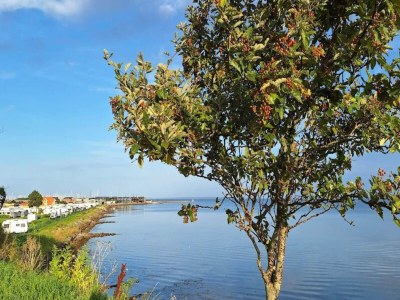 Holiday park 5 person holiday park in Bogense - Outdoor photo 31