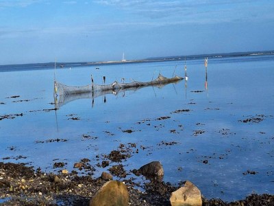 Holiday park 5 person holiday park in Bogense - Outdoor photo 36