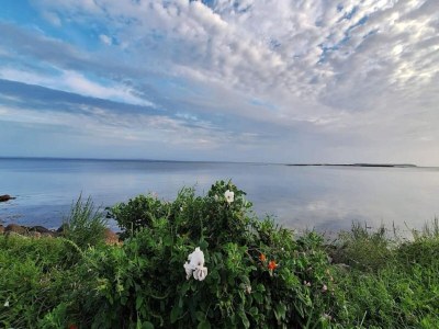 Holiday park 5 person holiday park in Bogense - Outdoor photo 44