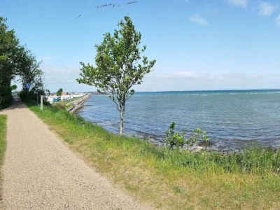 Holiday park 5 person holiday park in Bogense - Outdoor photo 54