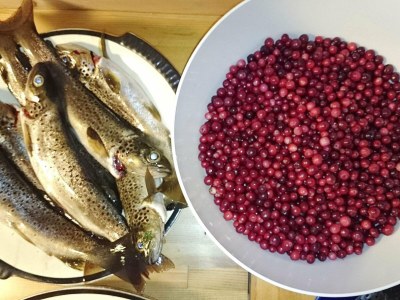 Holiday house 10 person holiday home in skei i jølster - Outdoor photo 23