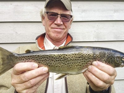 Holiday house 10 person holiday home in skei i jølster - Outdoor photo 34