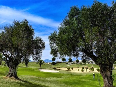 Villa �ppige Villa in Orihuela mit Pool - Environment photo 20