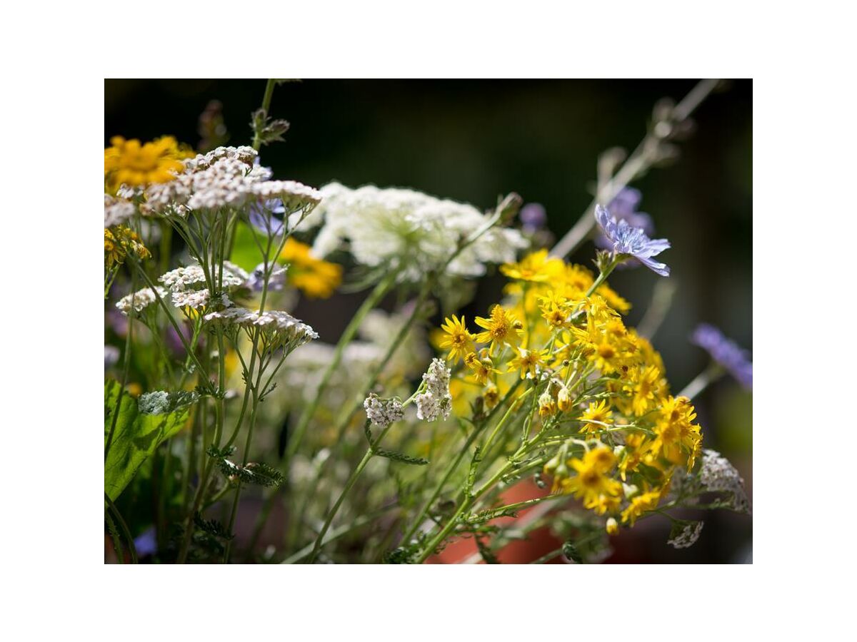Apartment LindGrün für Zwei - Outdoor photo 5