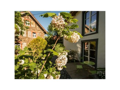 Apartment LindGrün für Zwei - Outdoor photo 6