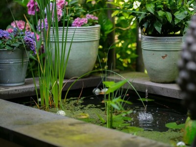 Apartment LindGrün für Zwei - Outdoor photo 62