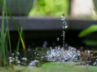 Apartment LindGrün für Zwei - Outdoor photo 65